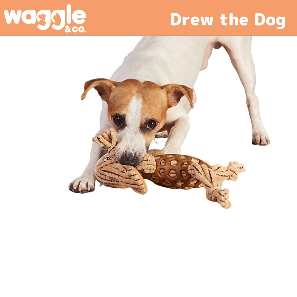 Waggle & Co. Drew the Dog  -  Toy for Big Dogs - Pet (Dog/Cat) Play & Squeaky Chew Toy