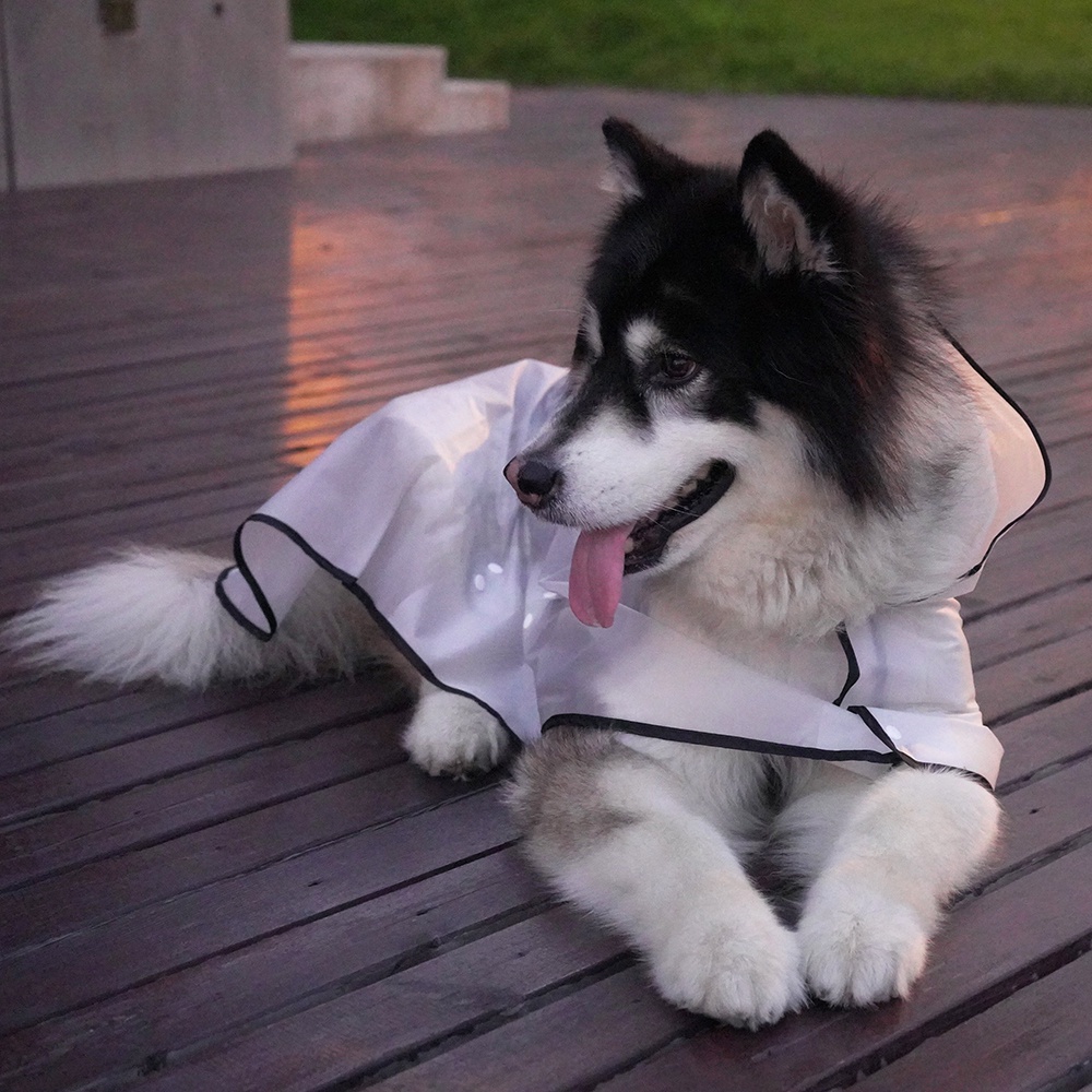 Transparent Large dog raincoat Pet raincoat Dog Raincoat Alaska Labrador big dog raincoat Rainy Day #7