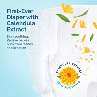 Hoppi AirDream Pants Diapers	44's (MEDIUM) Pack of 1 #6
