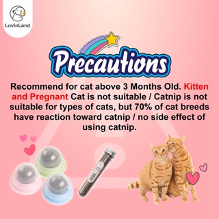 3pcs Cat Catnip Toy Catnip for Cat Toys For Kitten Toys Cat Teaser For Cat Pet Toy Remove cat's hair #7