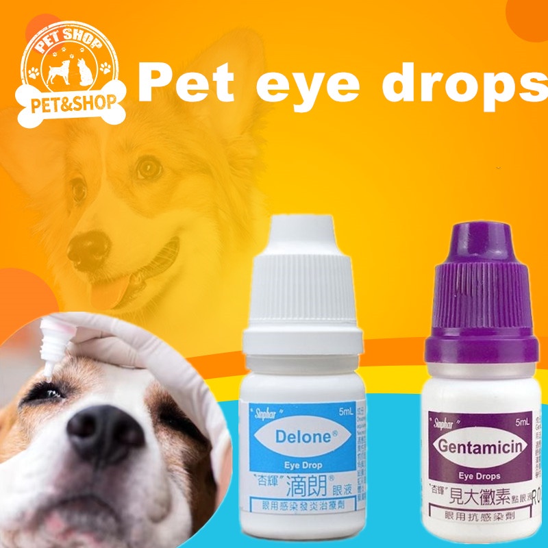 Sinphar Gentamicin And Delone Eye Drops for Pets 5ml Shopee Philippines