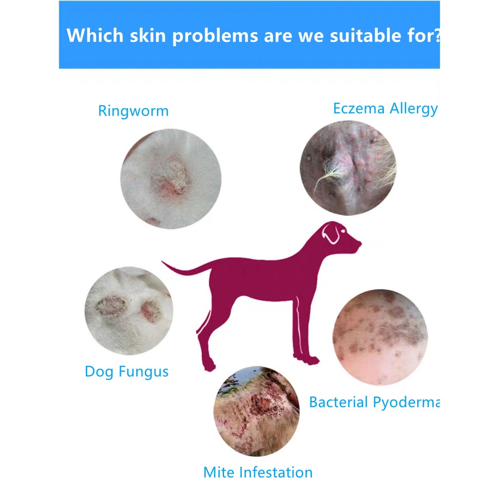 Pet Dog Skin Treatment Spray Antifungal Spray Dog Skin Disease Treatment for Anti-Flea Anti-Itching #6
