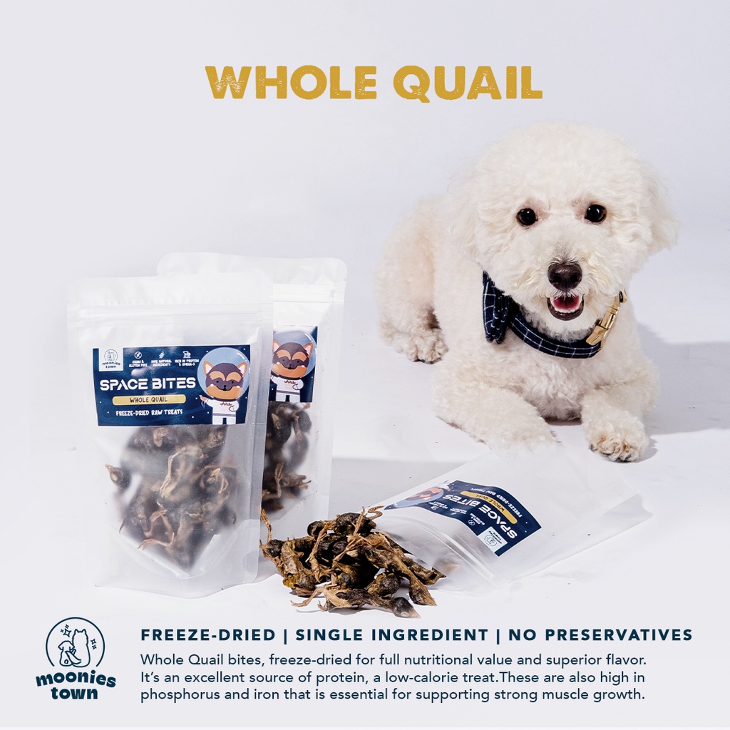 All Natural FreezeDried Whole Quail Healthy Pet Treats and Chews for