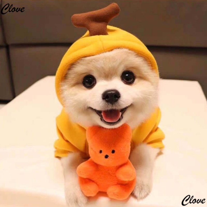 Dog Winter Warm Clothes Cute Plush Coat Hoodies Pet Costume Jacket For Puppy Cat French Bulldog Chihuahua Small Dog Clothing 4IDB #1