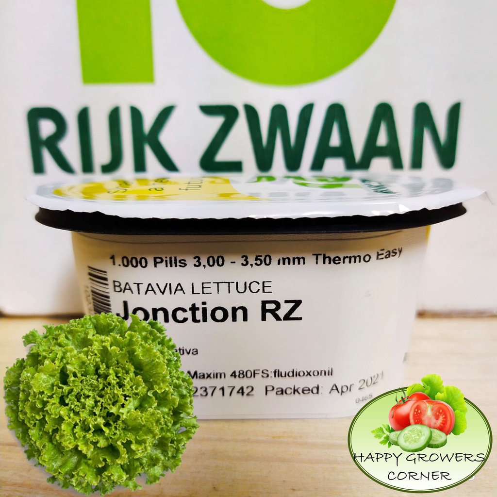 Jonction RZ Batavia Lettuce by RIJK ZWAAN (1,000 pills /Original