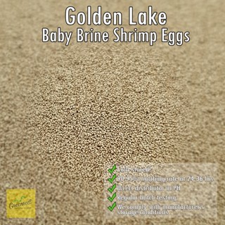 GOLDEN LAKE (DIRECT DISTRIBUTOR) - 1 CAN (425g)  -BBS Eggs Baby Brine Shrimp Hatchable Salt Lake US #8