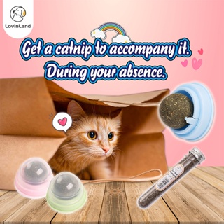 3pcs Cat Catnip Toy Catnip for Cat Toys For Kitten Toys Cat Teaser For Cat Pet Toy Remove cat's hair #9