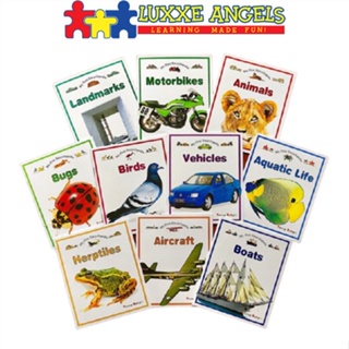 Luxxe Angels My First Encyclopedia (Set of 10 Educational Children's Books)  Books for Boys  Boys fo #7