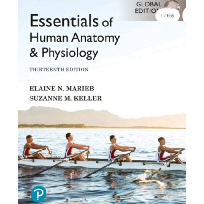 Essentials of Human Anatomy by Marieb 13th Edition