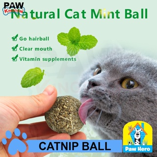 Bioline Catnip Ball Cat Toy Cat Natural Mint Kitten Treat Ball Cleaning Teeth Toy by PAW HERO