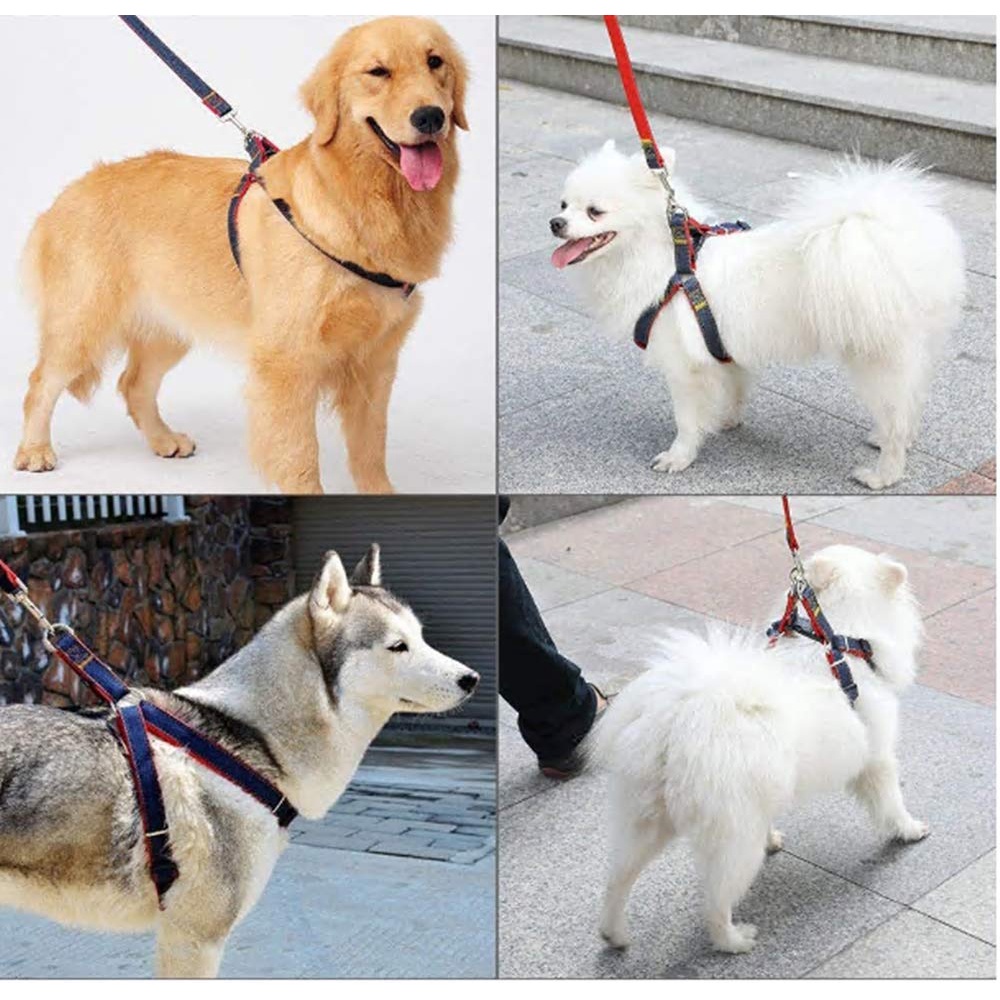 Pet Leash Dog Harness & Denim Leash for Small/Medium/Large Dogs Pet Adjustable Leash Belt Traction