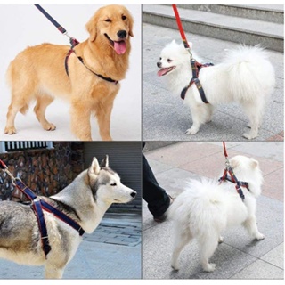 Pet Leash Dog Harness & Denim Leash for Small/Medium/Large Dogs Pet Adjustable Leash Belt Traction #2