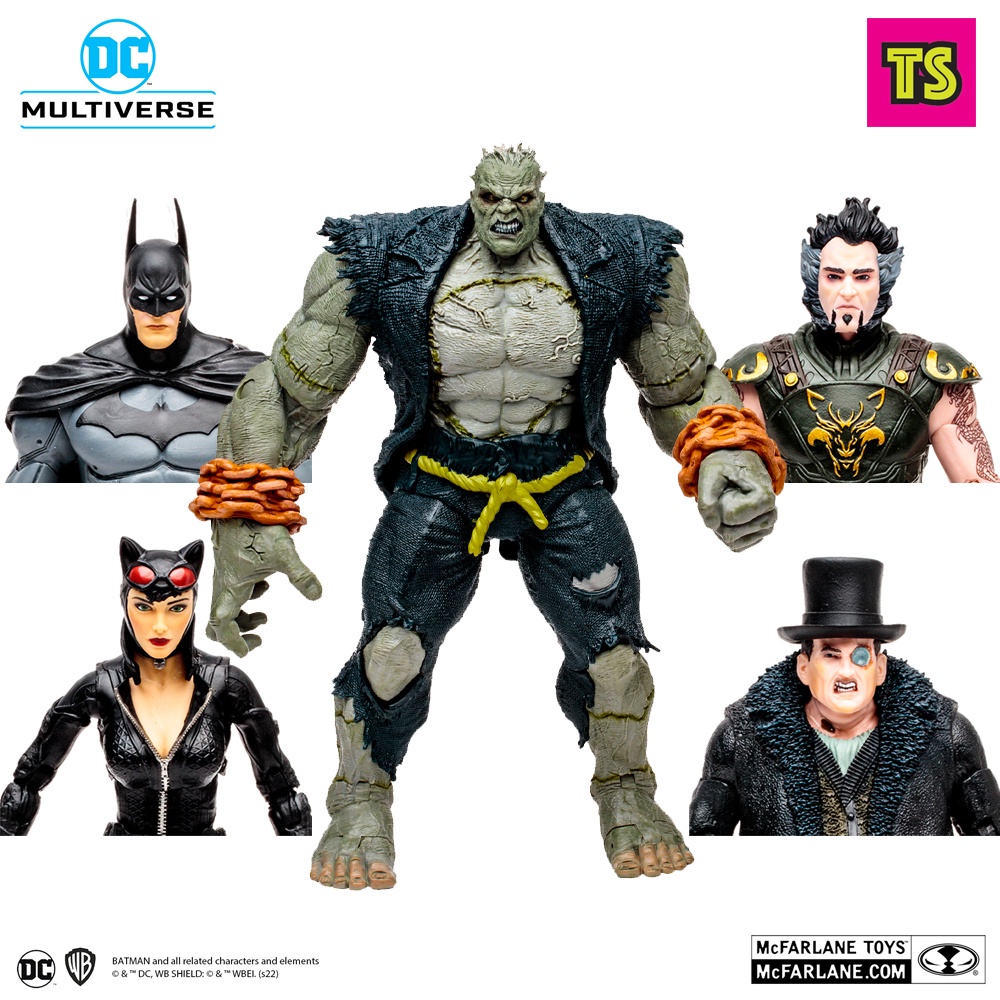 BUILD-A SOLOMON GRUNDY, BATMAN: ARKHAM CITY SET OF 4 + 1, DC MULTIVERSE ...