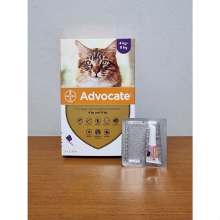 4kg Advocate Lice Medicine for Cats
