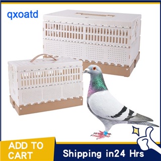 Plastic Folding Pigeon Cage Portable Pet Bird Travel Cage Pigeon Cage Pairing Cage Pigeon Nest Box E
