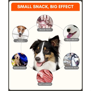 dog treat snack 90g Orgo Dog Dental Stick Dental Sticks Dental Care Flavored Dental Treat Dentastix #2