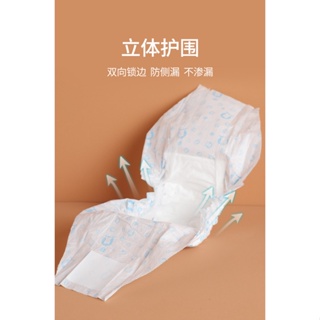 gifts new cartoon pattern pet urine does not wet the male dog pants diapers with large upgrade physiological pants #9