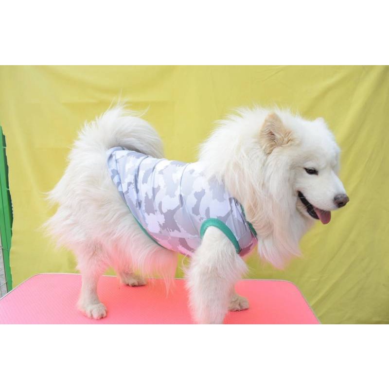 Spring and Summer New Dog Smooth Surface Anti-Sweater Shiba Inu Husky Golden Retriever Akita Teddy Alaska Dog Clothes vNSw #5