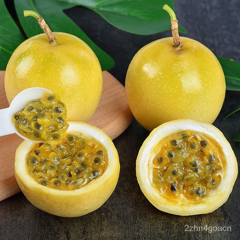 Baixiang Fruit Seedling Eggs Fruit Seedling Starry Sky Gold Passion
