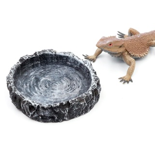 ✇☃☃Crawler Pet Reptile Feeder Bowl Resin Water Dish Non Toxic Food Bowl Tortoise Snakes Lizard Repti