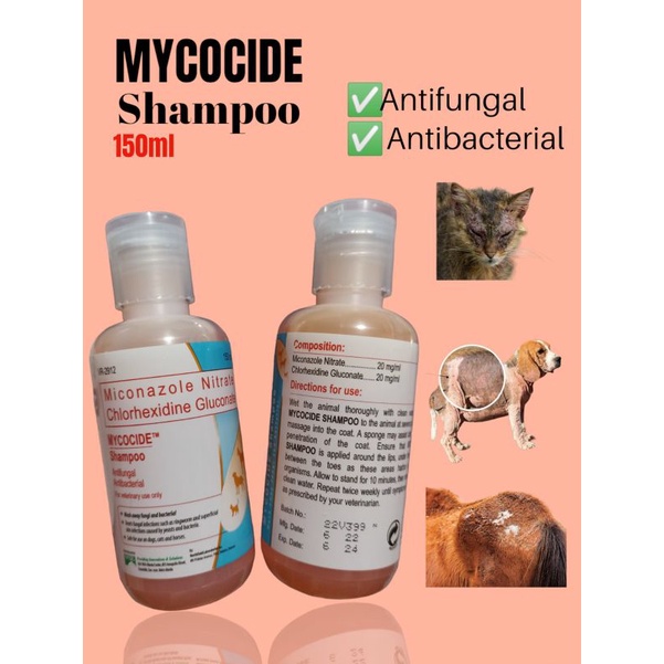 Mycocide Medicated Shampoo (150ml) Shopee Philippines