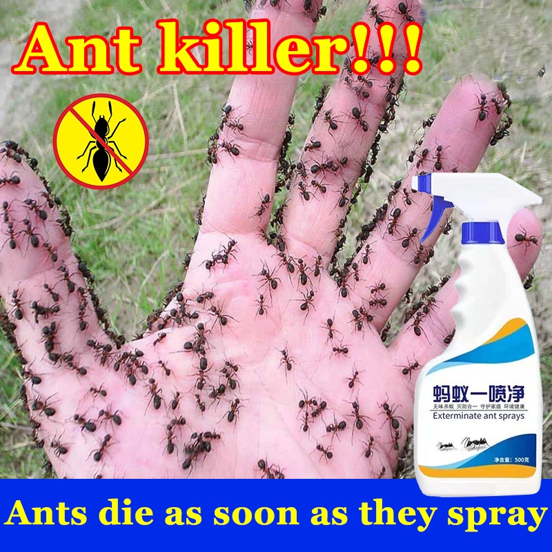 Effective Immediately！Ant Spray Killer 500 ml can Kill Termites Ants