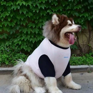 Big Dog Summer Thin Cartoon Striped Half Sleeve Akita Labrador Husky Golden Retriever Alaska Dog Clothes m4Jk #6