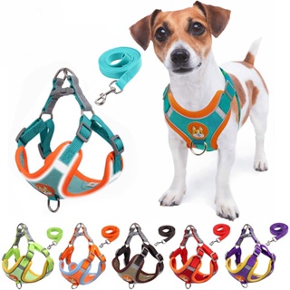 Pet Adjustable Reflective Harness Vest Pet Dog Harness With Leash  Puppy Harness Vest for Dog Cat