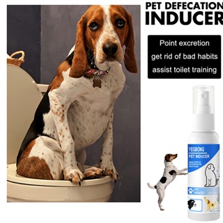 60ml Pet Defecation inducer Dog Pee Inducer Guided Toilet Training potty spray #4