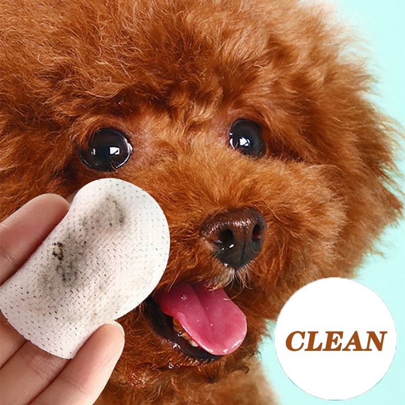 PET EAR and EYE WIPES (cats and Dogs) #1