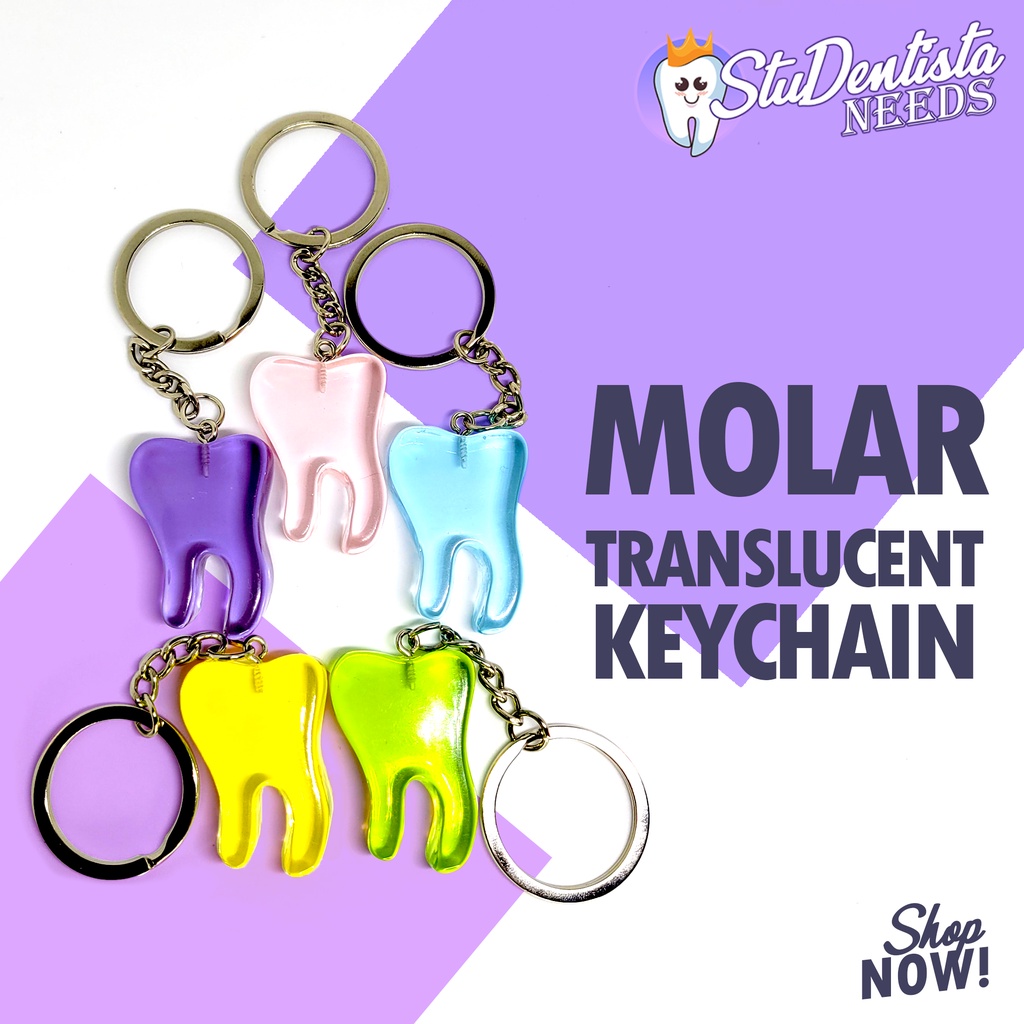 Molar Translucent Keychain dentistry dental gifts Shopee Philippines