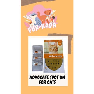 Advocate Spot On for Cats upto 4KG