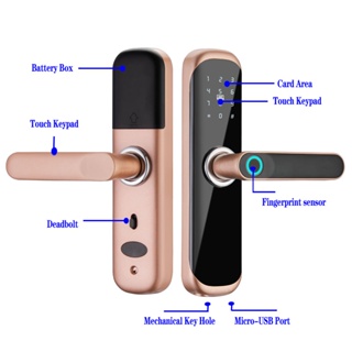 New Product Sales Promotion Tuya APP Biometric Smart Fingerprint Electronic Password RFID Card Door #3