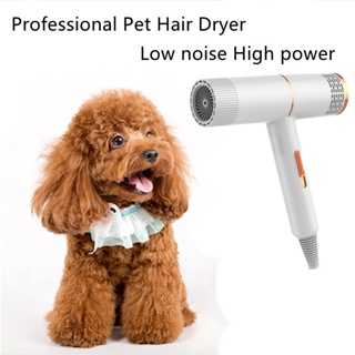 Pet Dryer Dog Portable Hair Dryer Pet Grooming Cat Hair Dog Fur Blower Low Noise #2