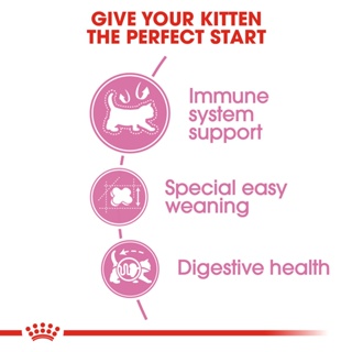 (hot)Royal Canin Mother & Babycat Dry Cat Food (400g) - Feline Health Nutrition #4