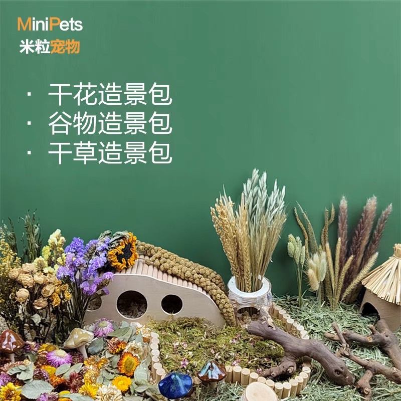 Various Kinds Of Dried Flowers For Cage Sprinkling Deodorizing Feces Add Fragrance To The Pet Pets Can Eat #4