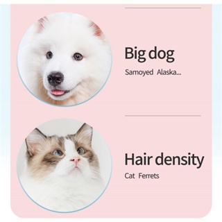 BORAMMY Pet Dryer Dog Portable Hair Dryer Pet Grooming Cat Hair Dog Fur Blower Low Noise #3