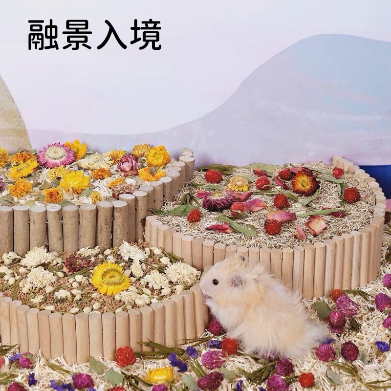 Various Kinds Of Dried Flowers For Cage Sprinkling Deodorizing Feces Add Fragrance To The Pet Pets Can Eat #2