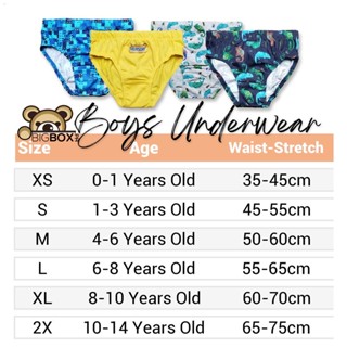 Bigbox.ph Kids Cotton Underwear Brief Garterized Waist for Boys 1-14 Years Oldcod #2