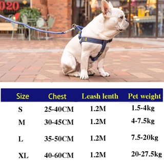 Pet Leash Dog Harness & Denim Leash for Small/Medium/Large Dogs Pet Adjustable Leash Belt Traction #4