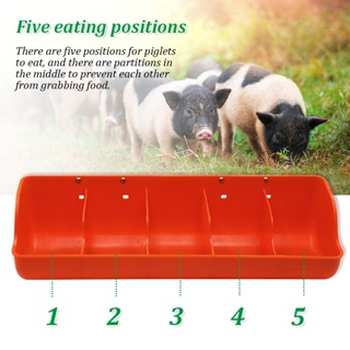 DAVSAIC Orange Plastic Piglet Trough Automatic Feeding Five Grids Pig Sow Feeder Delivery Bed Feedin