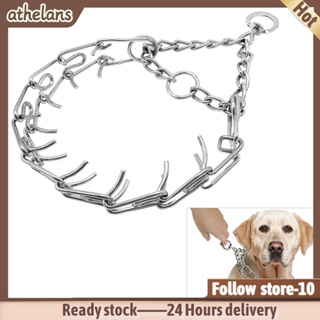 [24H] Adjustable Alloy Prong Large Dog Pet Training Stimulate Chain Choke Collar