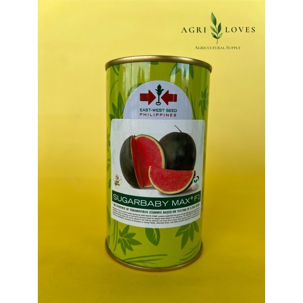 Sugarbaby Max F1 Watermelon Seeds (100 grams) EastWest Seed Shopee