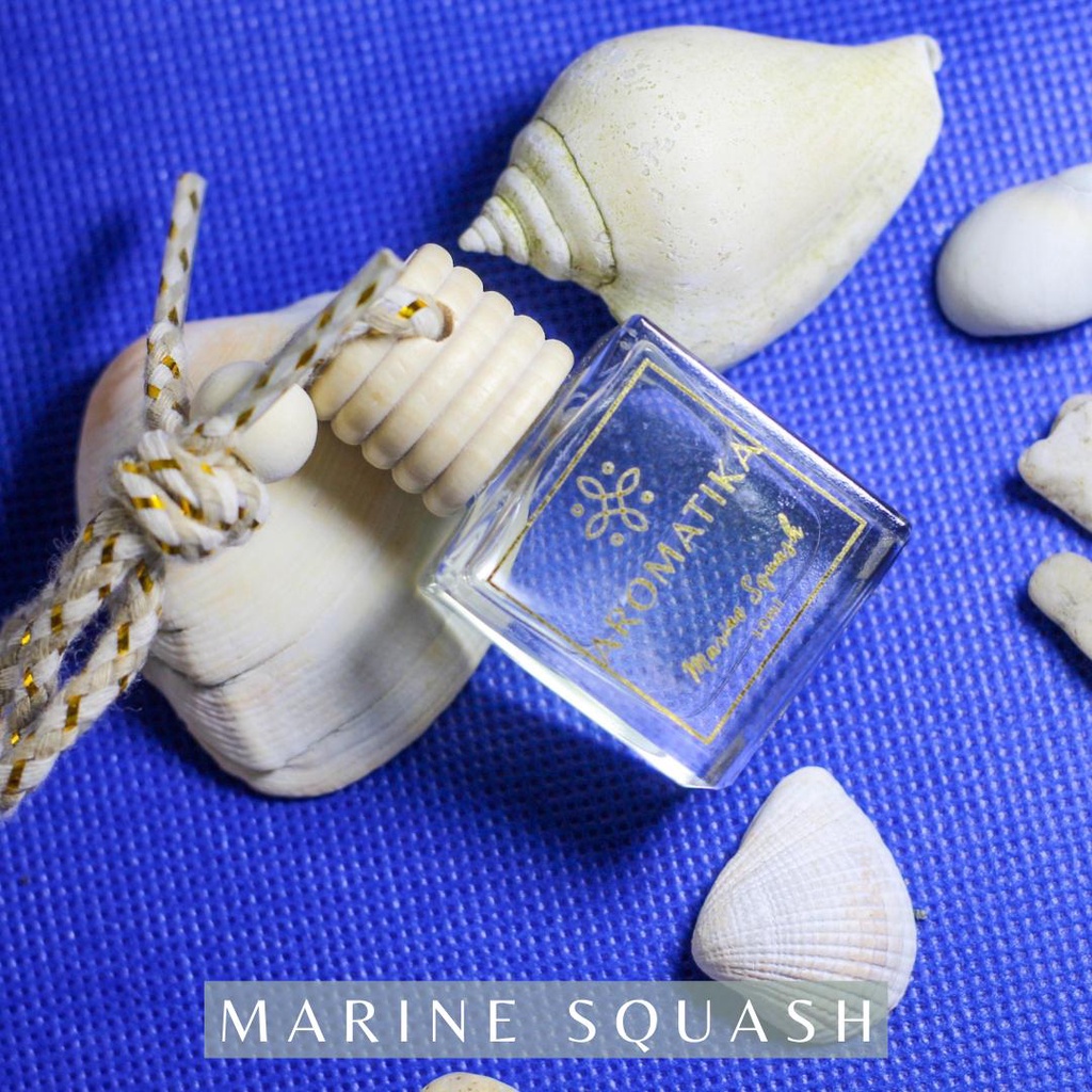 AROMATIKA Marine Squash Premium Scents Hanging Diffuser Car & Home Air