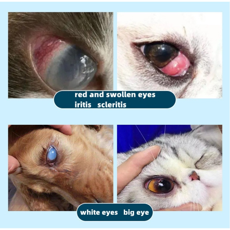 Terramycin Eye Ointment Corneal Inflammation Ointment Eye Redness  And Inflammation For Pets Animals #6