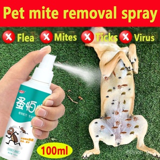 BORAMMY Pet flea spray Tick and flea spray 100ml Anti flea and tick remover for Dogs Cats