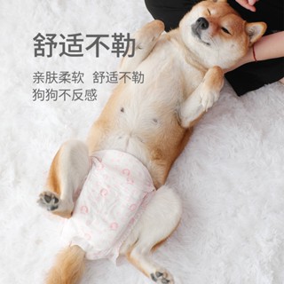 gifts new cartoon pattern pet urine does not wet the male dog pants diapers with large upgrade physiological pants #4