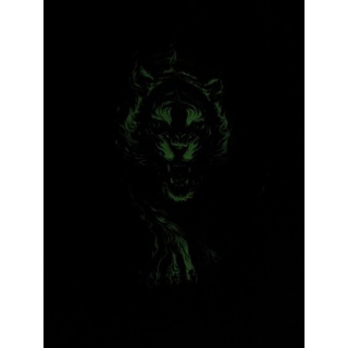 HIGH definition glow in the dark Tiger on Fire HD 64 #4