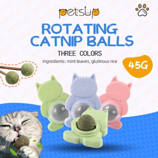 Catnip Ball Cat Toy Pet Toy Cat Treat Pasteable Rotating Catnip Balls Interactive Treat Cat Treat