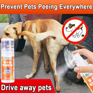 Cat Ran Away！Cat Repellent Spray Repellent Spray for Dogs & Cats Pet Potty Trainer for Dogs